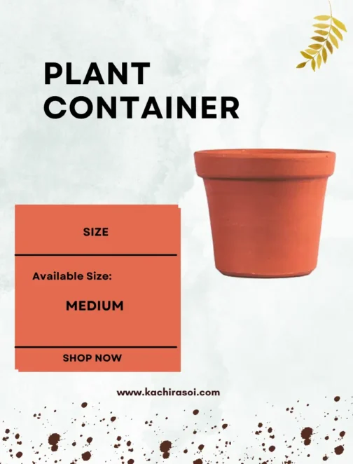 Plant