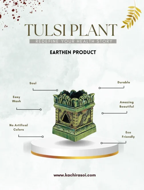 tulsi plant